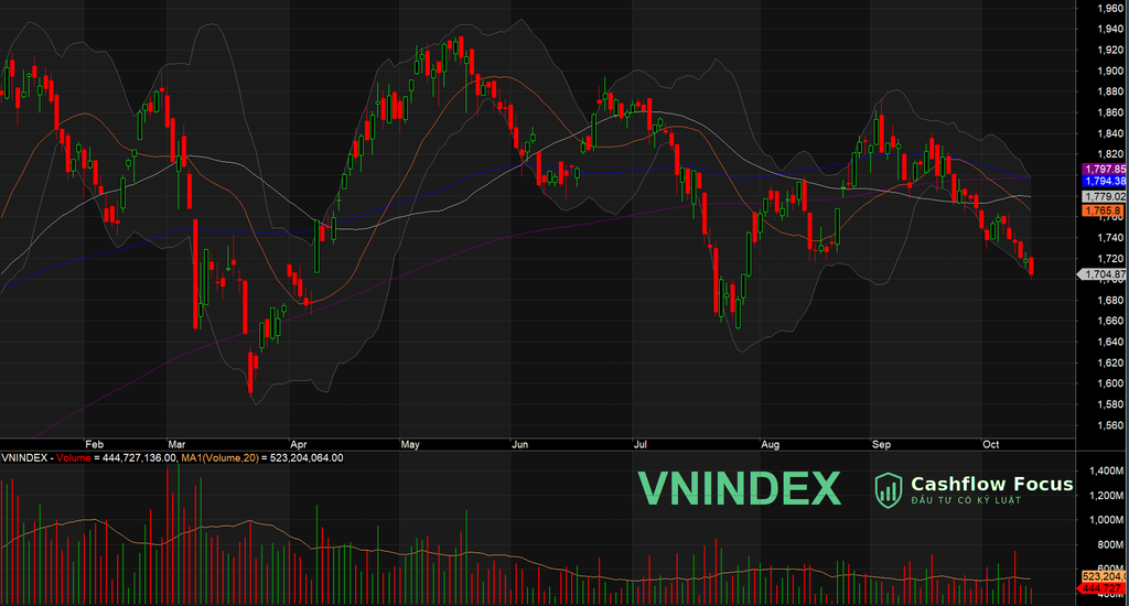 VN-Index giảm phiên thứ 6 liên tiếp, có lúc thủng 1.700 điểm, dầu khí - phân đạm ngược dòng giữ sắc xanh Diễn biến VN-Index phiên 14/10/2026 và trạng thái danh mục Cashflow Focus theo Hệ thống 5 nhóm màu