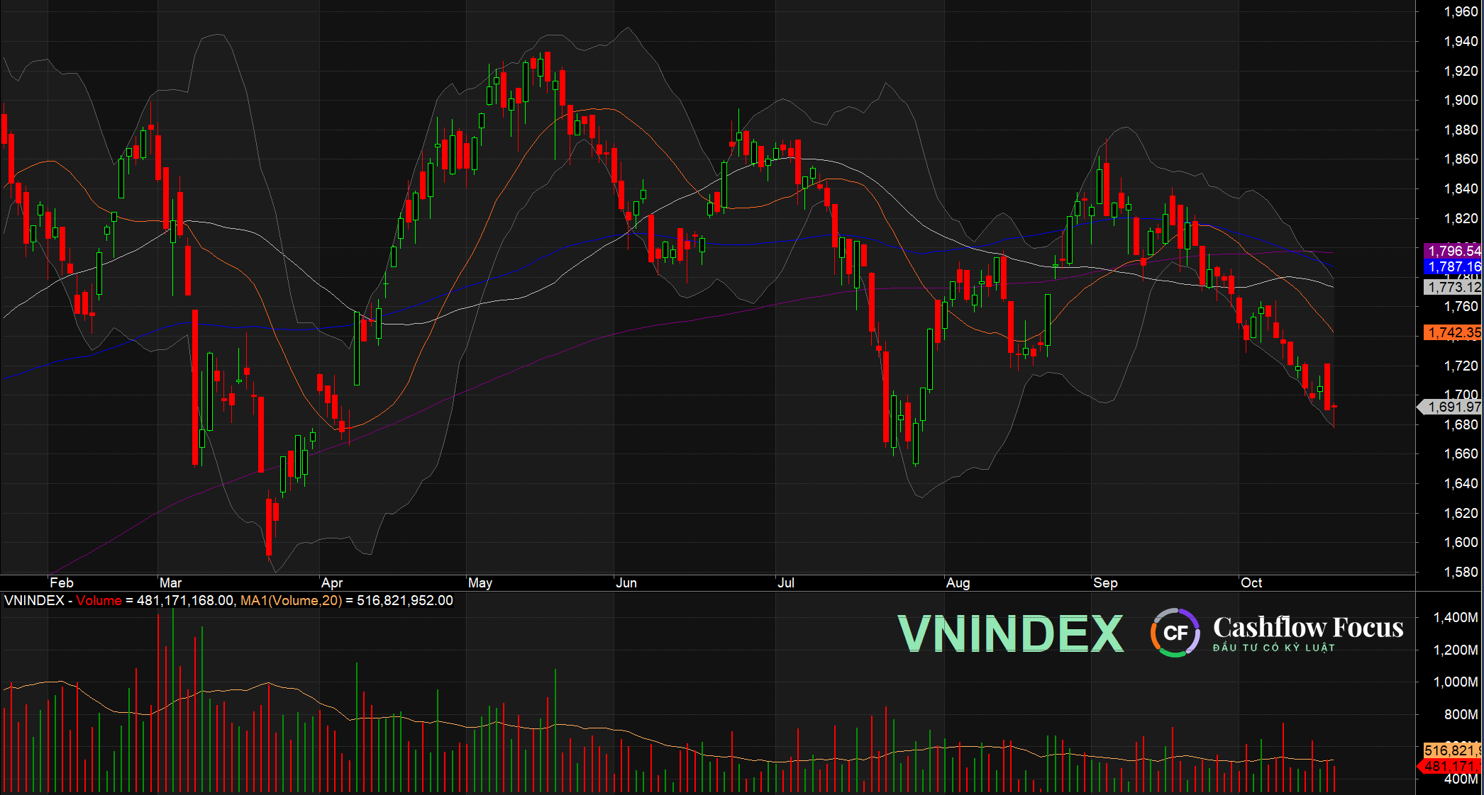 vni2010